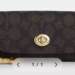 Sunglass Case In Signature Canvas